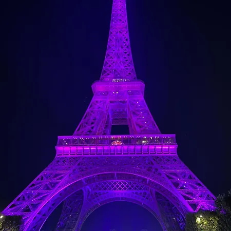 Alloggio in famiglia Eiffel Tower Oasis 30m From Eiffel Tower